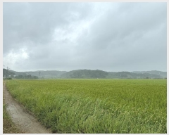  2024Ÿ78381  ֽ ܸ Ű 173      (1)