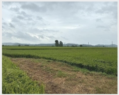  2024Ÿ78381  ֽ ܸ Ű 173      (1)