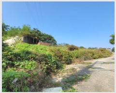  2024Ÿ81981  ֽ ź â 475-9      ڽü