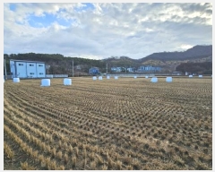  2024Ÿ��85150  ����