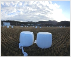  2024Ÿ��85150  ����