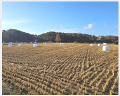  2024Ÿ��85150  ����