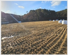  2024Ÿ��85150  ����