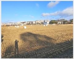  2024Ÿ��85150  ����