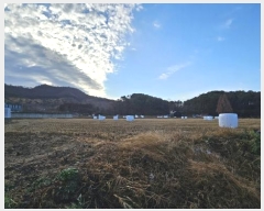  2024Ÿ��85150  ����