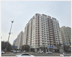  2024Ÿ85365   ϻ굿 Ƿ 47, ̵ 9909ȣ (鼮,жƮ)   ǽڰ