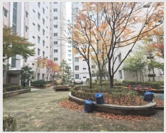  2024Ÿ85365   ϻ굿 Ƿ 47, ̵ 9909ȣ (鼮,жƮ)   ǽڰ