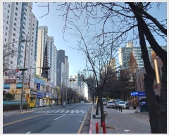  2024Ÿ85631   ϻ꼭  34, 102 8803ȣ (ϻ굿,ϻ굿Ʈ)   Ʈ