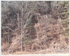  2024Ÿ��87323  �Ӿ߰��