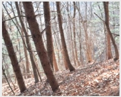  2024Ÿ��87323  �Ӿ߰��