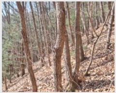  2024Ÿ��87323  �Ӿ߰��