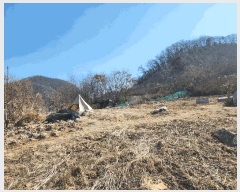  2024Ÿ��88401 ��� ���ֽ� ������ ��ɸ� 4-3      ����(��)���