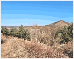  2024Ÿ��88401 ��� ���ֽ� ������ ��ɸ� 4-3      ����(��)���