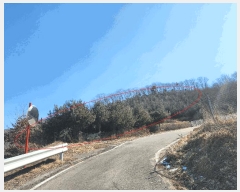  2024Ÿ��88401 ��� ���ֽ� ������ ��ɸ� 4-3      ����(��)���