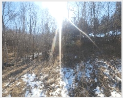  2024Ÿ��88401 ��� ���ֽ� ������ ��ɸ� 4-3      ����(��)���