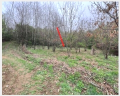  2024Ÿ��2544 ��� ���ֽ� ������ �絿�� 426-1      ����(��1)���