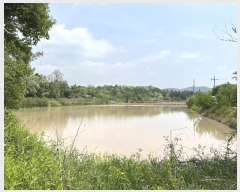  2024Ÿ��67893 ��� ���ֽ� ������ ������ 549      ����(��)���