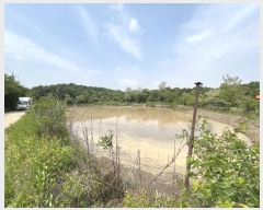  2024Ÿ��67893 ��� ���ֽ� ������ ������ 549      ����(��)���