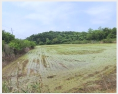  2024Ÿ��67893 ��� ���ֽ� ������ ������ 549      ����(��)���