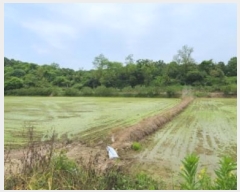  2024Ÿ��67893 ��� ���ֽ� ������ ������ 549      ����(��)���