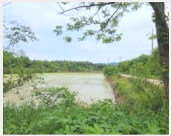  2024Ÿ��67893 ��� ���ֽ� ������ ������ 549      ����(��)���