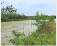  2024Ÿ��67893 ��� ���ֽ� ������ ������ 549      ����(��)���