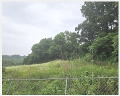  2024Ÿ72925  ֽ   312      (1)