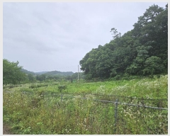  2024Ÿ72925  ֽ   312      (1)