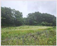  2024Ÿ72925  ֽ   312      (1)