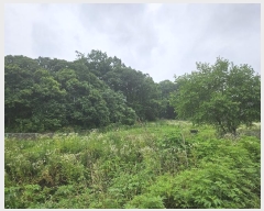  2024Ÿ72925  ֽ   312      (1)