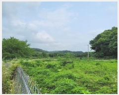  2024Ÿ72925  ֽ   312      (1)