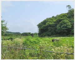  2024Ÿ72925  ֽ   312      (1)