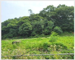  2024Ÿ72925  ֽ   312      (1)