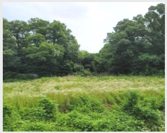  2024Ÿ72925  ֽ   312      (1)