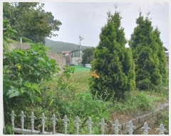  2024Ÿ��74501  ���ð��