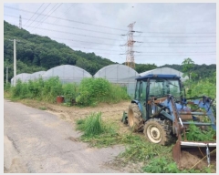  2024Ÿ��74877 ��� ����� ���籸 ������ 294      ����(��1)���