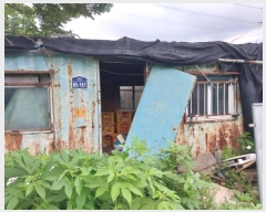  2024Ÿ��74877 ��� ����� ���籸 ������ 294      ����(��1)���