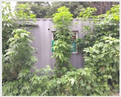  2024Ÿ��74877 ��� ����� ���籸 ������ 294      ����(��1)���