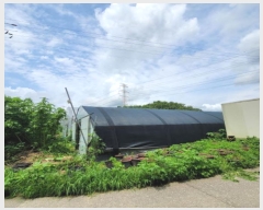  2024Ÿ��74877 ��� ����� ���籸 ������ 294      ����(��1)���