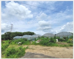  2024Ÿ��74877 ��� ����� ���籸 ������ 294      ����(��1)���