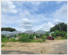  2024Ÿ��74877 ��� ����� ���籸 ������ 294      ����(��1)���