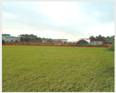  2024Ÿ��79827  ����