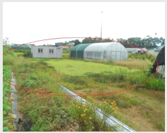  2024Ÿ��79827  ����