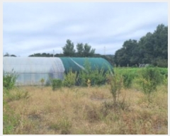  2024Ÿ��79827  ����