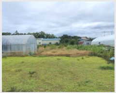  2024Ÿ��79827  ����