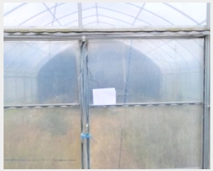  2024Ÿ��79827  ����