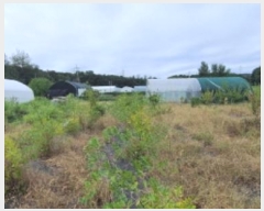  2024Ÿ��79827  ����