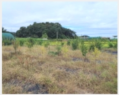  2024Ÿ��79827  ����