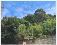  2024Ÿ��81844 ��� ���ֽ� �˻굿 439-5       ����(�Ӿ�)���