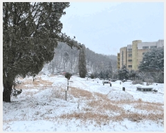  2024Ÿ��85648 ��� ���ֽ� �Ƶ��� 278       ����(��1)���